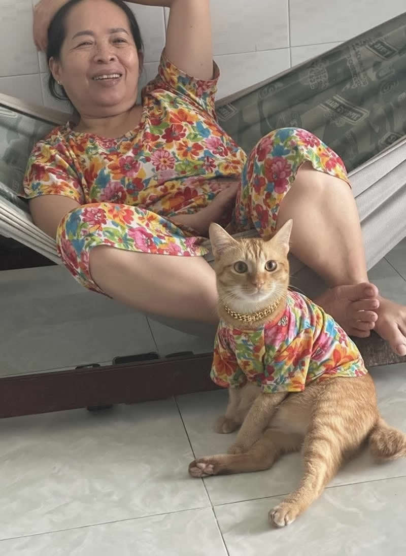 Too Cute to Handle: 35 Animal Photos That Perfectly Capture Everyday Chaos 69 An orange tabby cat sits proudly on the floor wearing a colorful floral shirt and a gold chain that perfectly matches the outfit of a smiling woman relaxing in a hammock behind it. The coordinated outfits make the adorable duo look like the ultimate fashion partners.