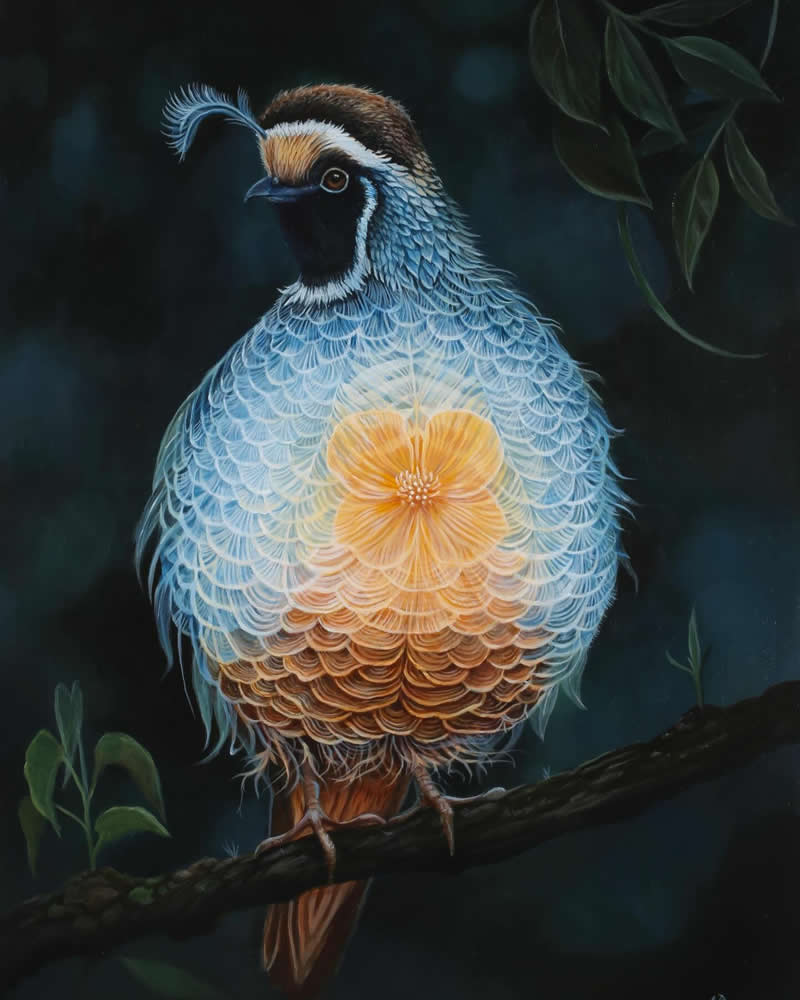 30 Mesmerizing Wildlife Paintings by Molly Devlin Filled With Flowers, Feathers, and Fantasy 51 A Gift From A Golden Light - Wildlife Paintings by Molly Devlin