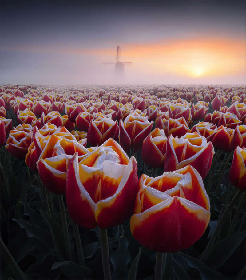 32 Dramatic Landscapes by Max Terwindt That Capture Earth at Its Most Extreme 38 Dramatic Landscape Photography by Max Terwindt