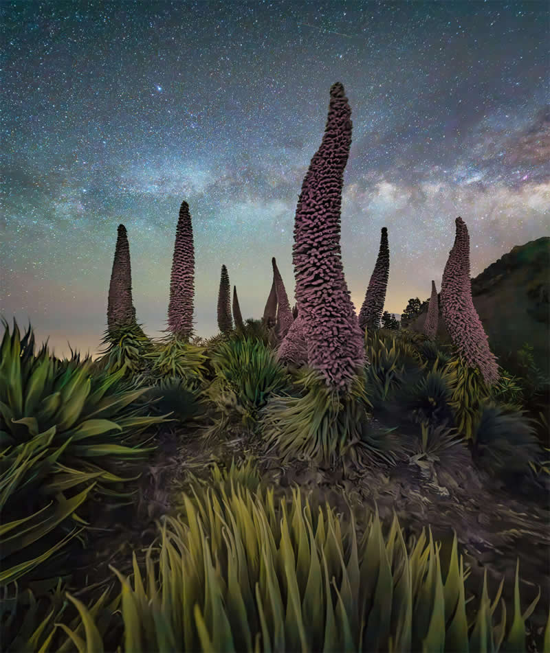 32 Dramatic Landscapes by Max Terwindt That Capture Earth at Its Most Extreme 44 Dramatic Landscape Photography by Max Terwindt