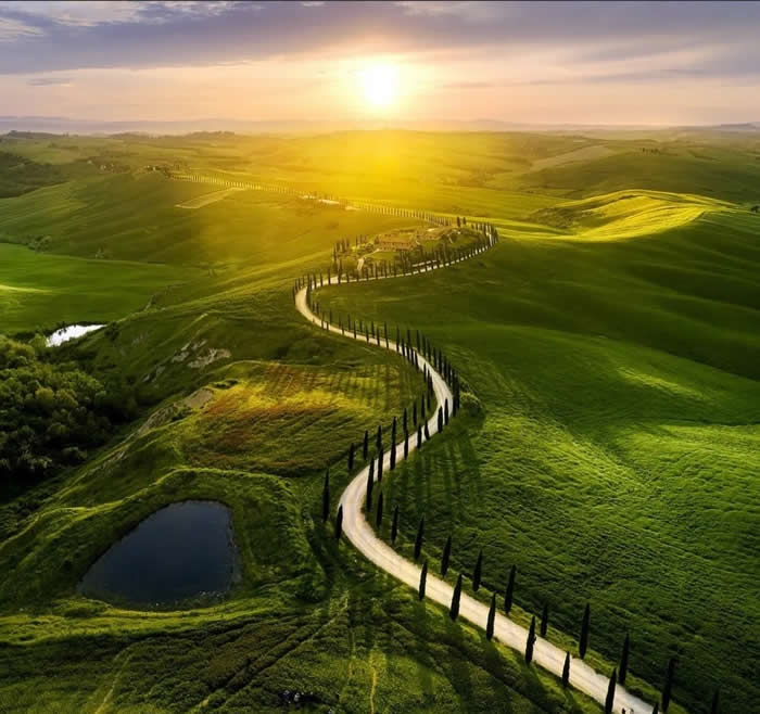 A winding road lined with tall trees curves through rolling green hills at sunset, with golden light spreading across the landscape and small ponds visible in the foreground.