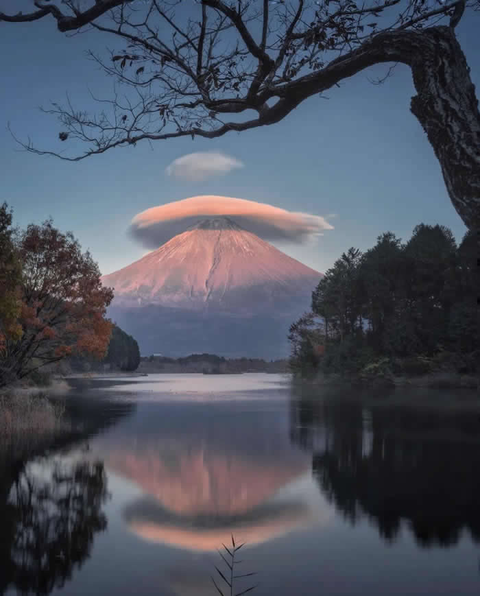 Mount Fuji rises beyond a calm lake at dawn, topped by a pink lenticular cloud and reflected in still water, with dark trees and overhanging branches framing the scene.