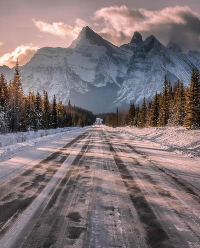 A snow-covered road stretches through a winter forest toward dramatic snow-capped mountain peaks under a soft pink sky, with tall evergreens lining both sides of the road.