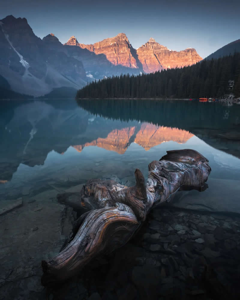 Blue Nights and Snowy Peaks: Cath Simard's 25 Dreamlike Landscapes of the Canadian Rockies 50 A weathered driftwood log rests in the clear waters of a calm alpine lake, reflecting sunrise-lit mountain peaks and evergreen forests in the Canadian Rockies.