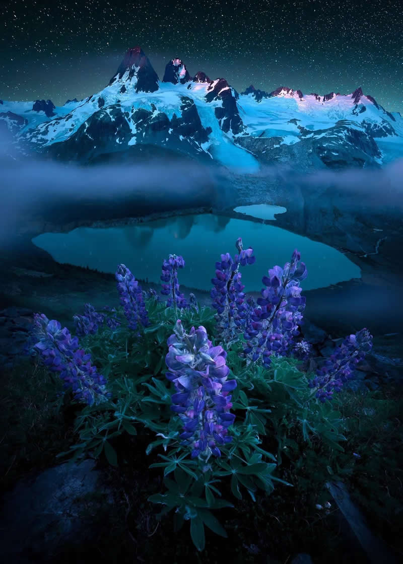 Blue Nights and Snowy Peaks: Cath Simard's 25 Dreamlike Landscapes of the Canadian Rockies 34 Purple lupine wildflowers fill the foreground beneath a starry night sky, overlooking turquoise alpine lakes and snow-covered mountain peaks in the Canadian Rockies with drifting mist and dramatic scenery.
