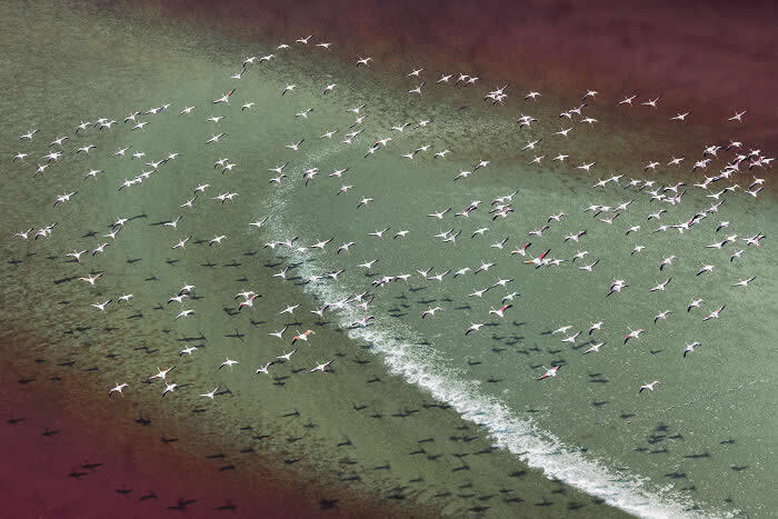 Magadi Dream By Cédric Tamani - International Aerial Photographer of the Year 2026 Awards