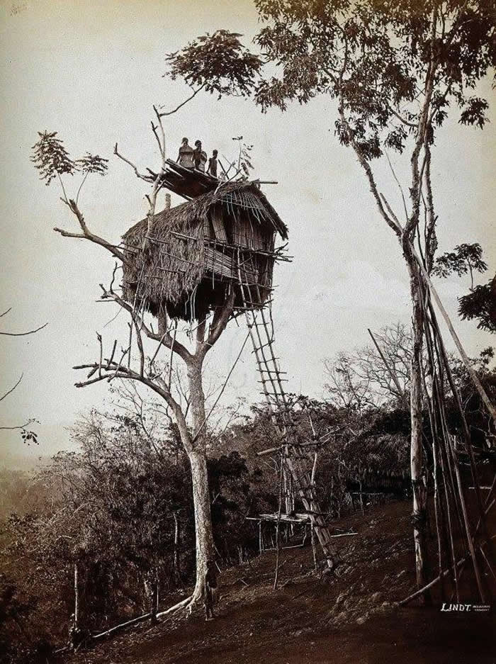 Frozen in Time: 38 Powerful Historical Photos That Bring Forgotten Moments Back to Life 56 A tree house of the Koiari people, east of Port Moresby, Papua New Guinea, 1886