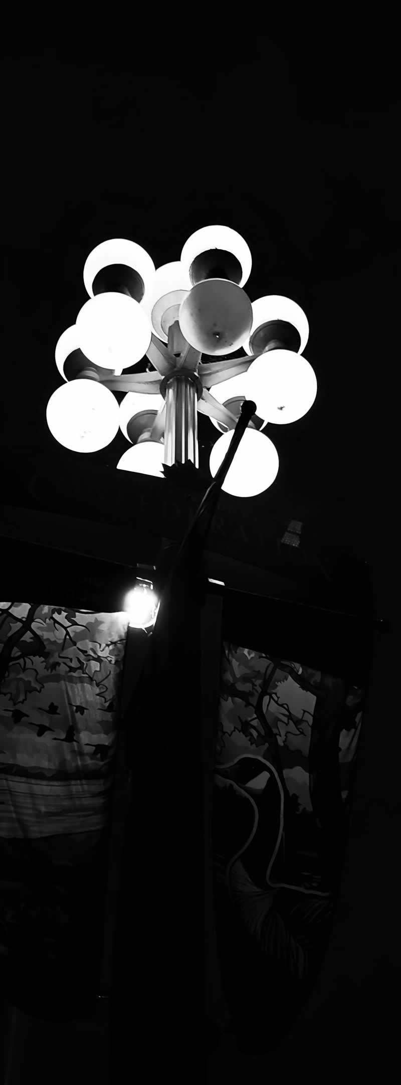 Gurushots Mostly Black Winners Photo Challenge