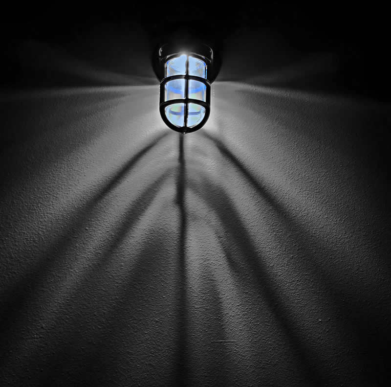 Gurushots Mostly Black Winners Photo Challenge