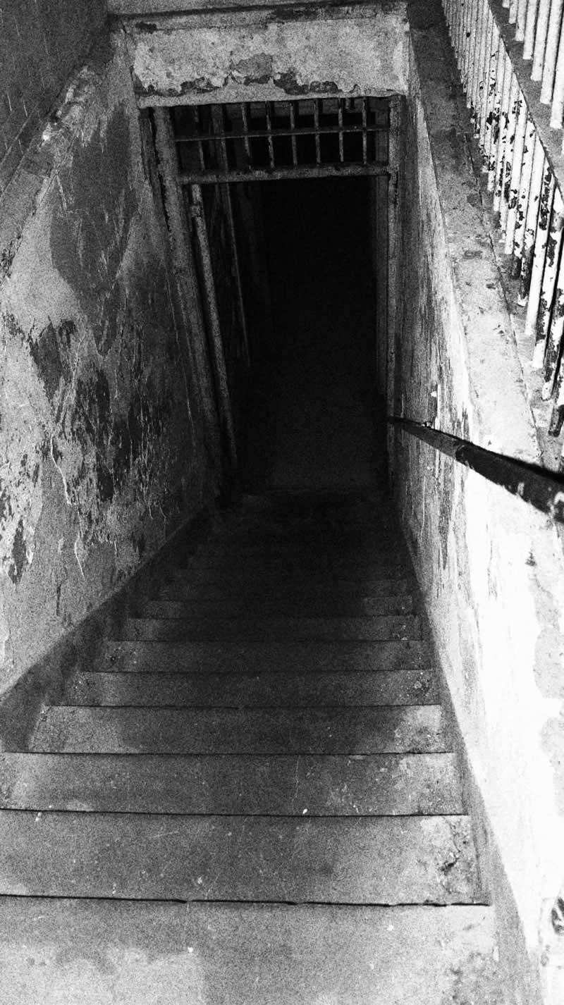 Gurushots Mostly Black Winners Photo Challenge