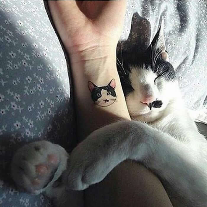A black-and-white cat naps with its paw wrapped around a person’s arm, right beside a small tattoo of the cat’s face, creating a sweet and funny moment of closeness and affection.