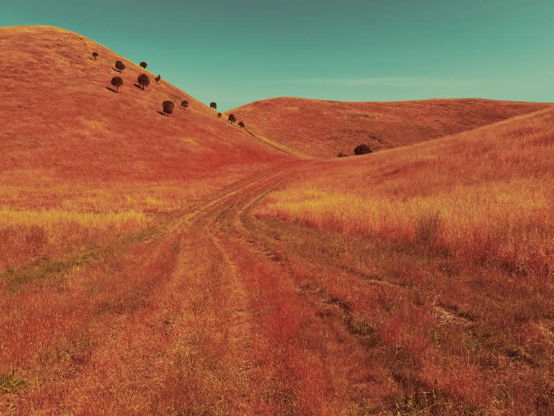 iPhone Photography Awards 2026: 40 Winners That Prove Vision Matters More Than Gear 62 Landscape: 1st Place Winner by Anthony Ginns, Australia - iPhone Photography Awards 2026 Winners