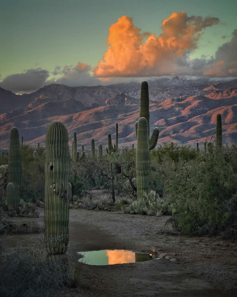 iPhone Photography Awards 2026: 40 Winners That Prove Vision Matters More Than Gear 64 Landscape: 3rd Place Winner by Joseph Cyr, United States - iPhone Photography Awards 2026 Winners