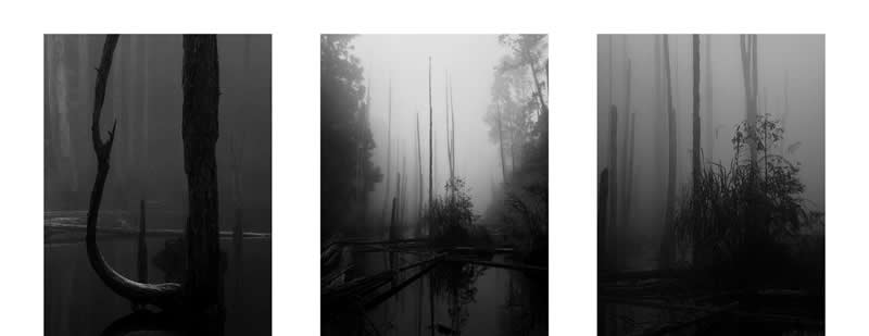 iPhone Photography Awards 2026: 40 Winners That Prove Vision Matters More Than Gear 80 Series: 1st Place Winner by Lasda Takbanuaz, Taiwan - iPhone Photography Awards 2026 Winners