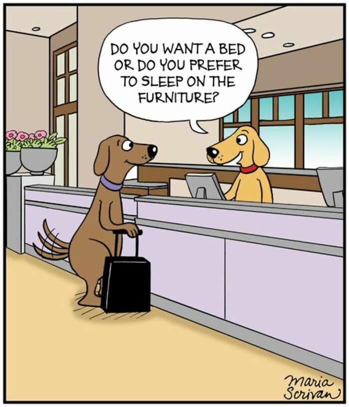 Hilarious Funny Dog Comics by Maria Scrivan