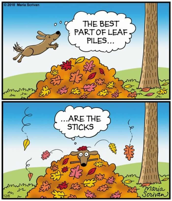 Hilarious Funny Dog Comics by Maria Scrivan