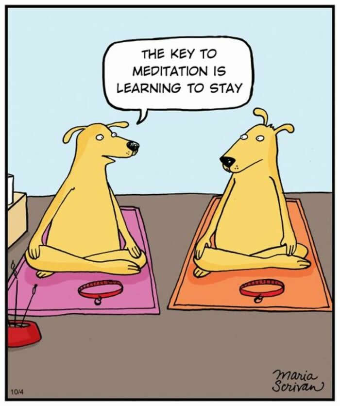 Hilarious Funny Dog Comics by Maria Scrivan