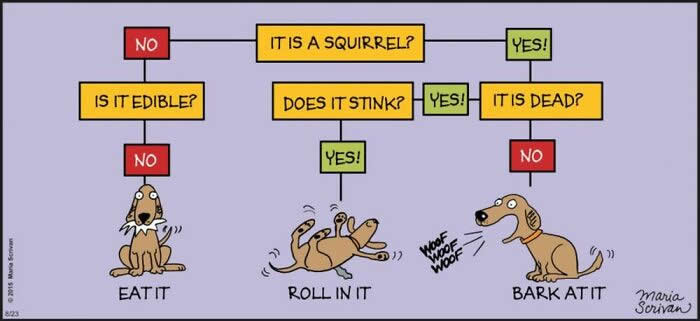 Hilarious Funny Dog Comics by Maria Scrivan