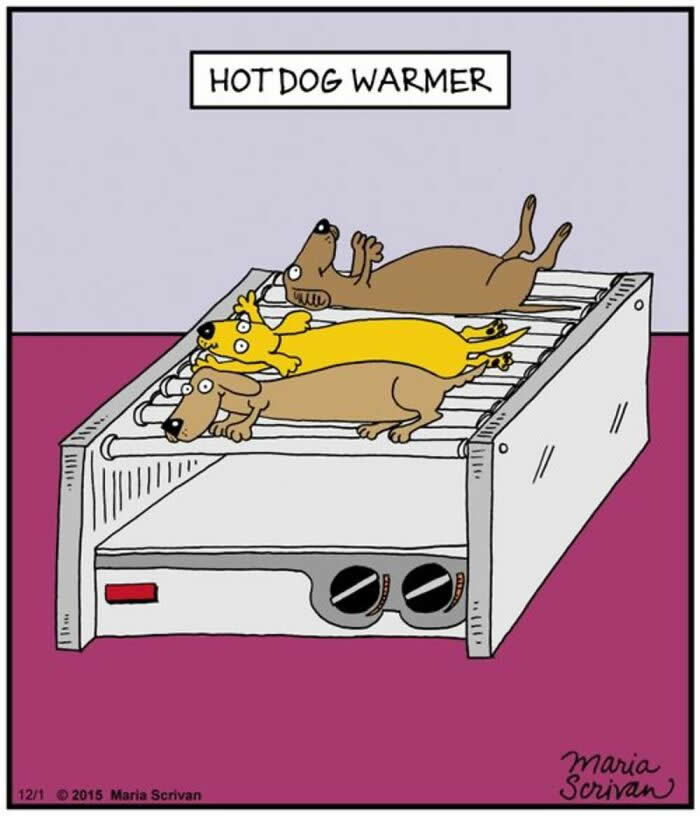 Hilarious Funny Dog Comics by Maria Scrivan