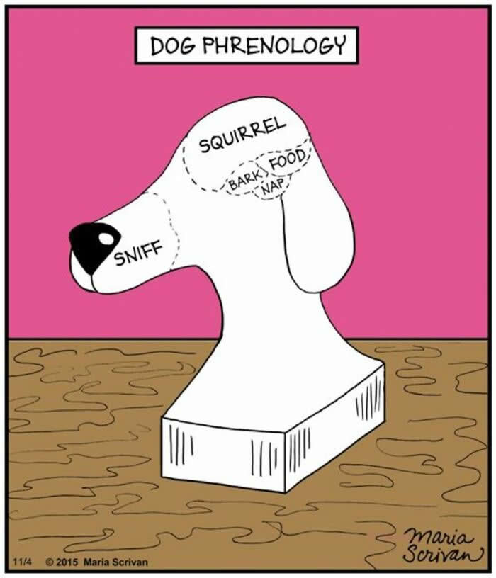 Hilarious Funny Dog Comics by Maria Scrivan