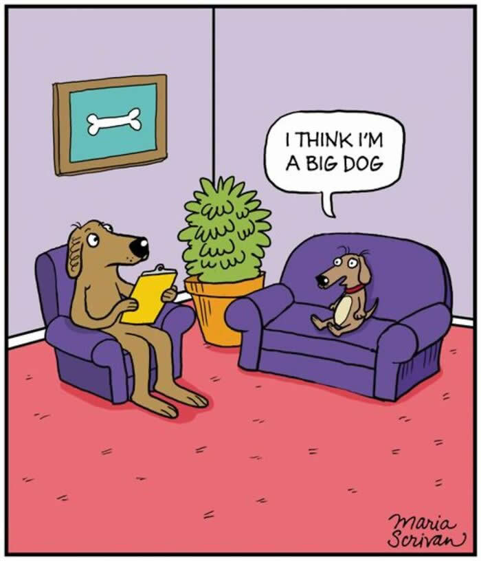 Hilarious Funny Dog Comics by Maria Scrivan