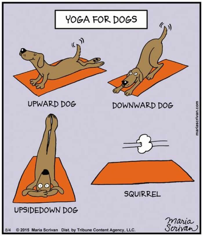 Hilarious Funny Dog Comics by Maria Scrivan