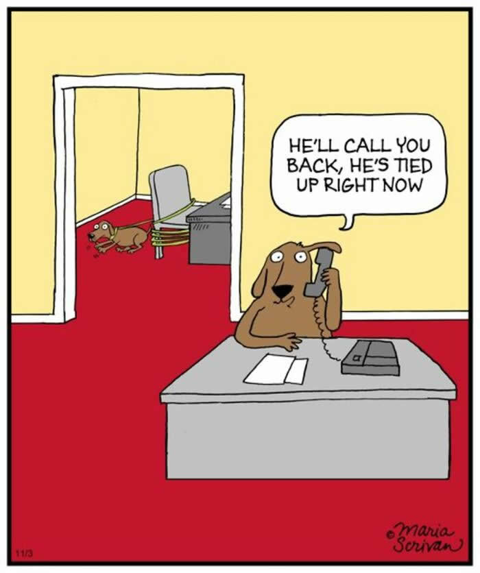 Hilarious Funny Dog Comics by Maria Scrivan