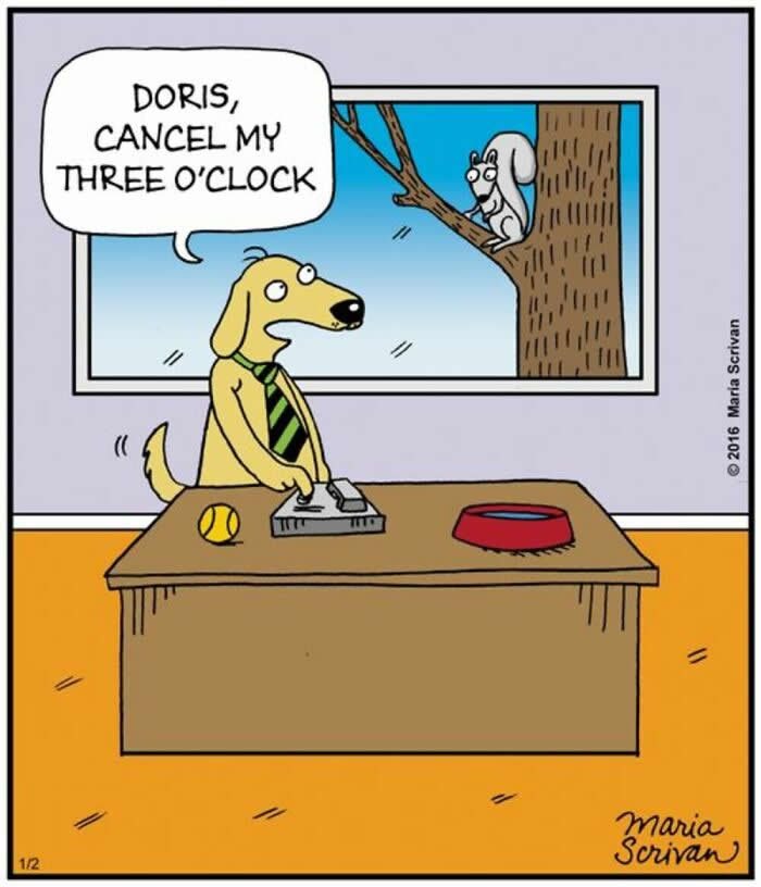 Hilarious Funny Dog Comics by Maria Scrivan