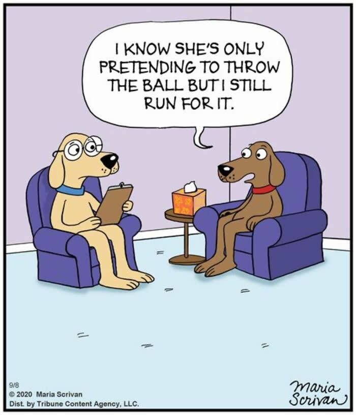 Hilarious Funny Dog Comics by Maria Scrivan
