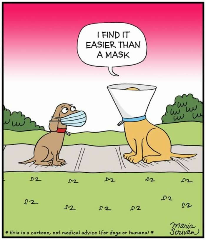 Hilarious Funny Dog Comics by Maria Scrivan
