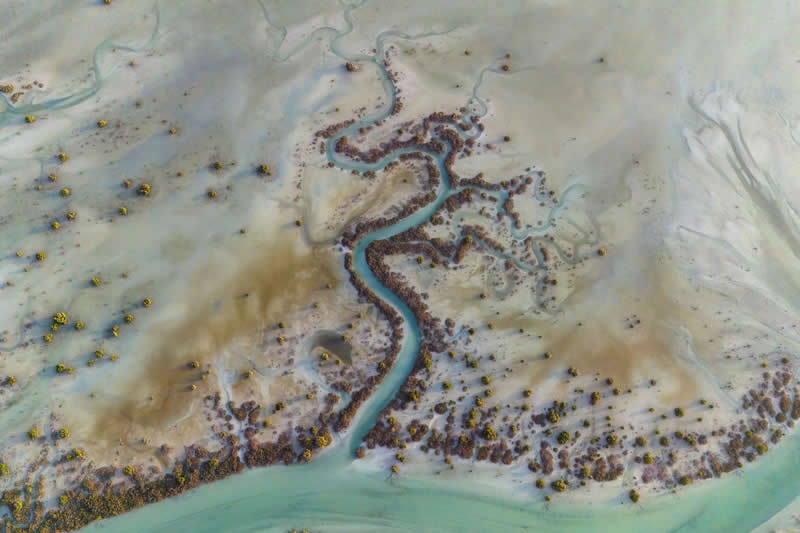 Landscape, From the Air - Runner Up: Journey to the Pulse of Mangroves by Mohammed Aljulandi, United Arab Emirates - Mangrove Photography Awards 2026