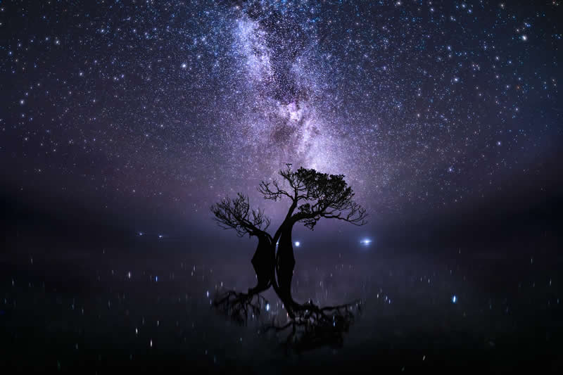 Landscape, On the Ground - Winner: Beneath Ancient Light by Ryuhei Suguri, Indonesia - Mangrove Photography Awards 2026