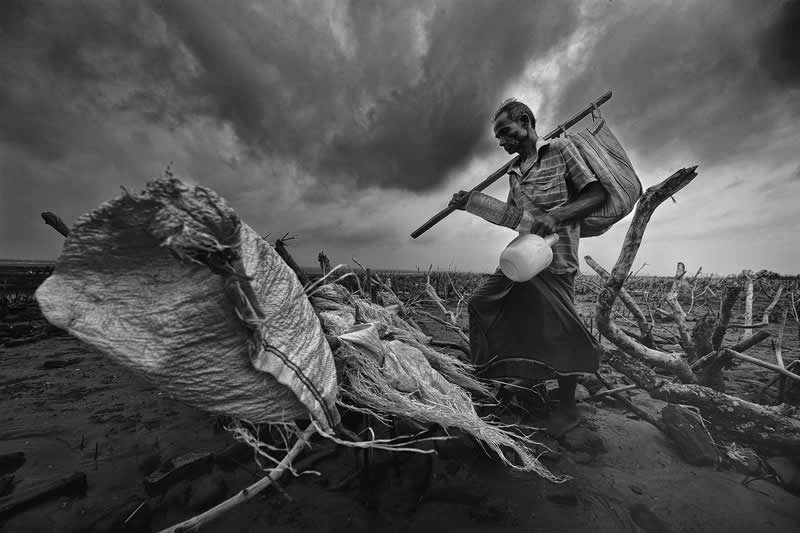 People, Conservation & Restoration - Runner Up: Plastic Gatherer by Somenath Mukhopadhyay, India - Mangrove Photography Awards 2026