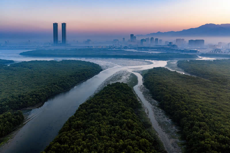 Emirates Award - Winner: Where Life Converges by Shyjith Onden Cheriyath, United Arab Emirates - Mangrove Photography Awards 2026