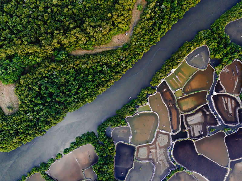 Landscape, From the Air - Winner: MangueBeat by Lucas Gonçalves Garcias, Brazil - Mangrove Photography Awards 2026