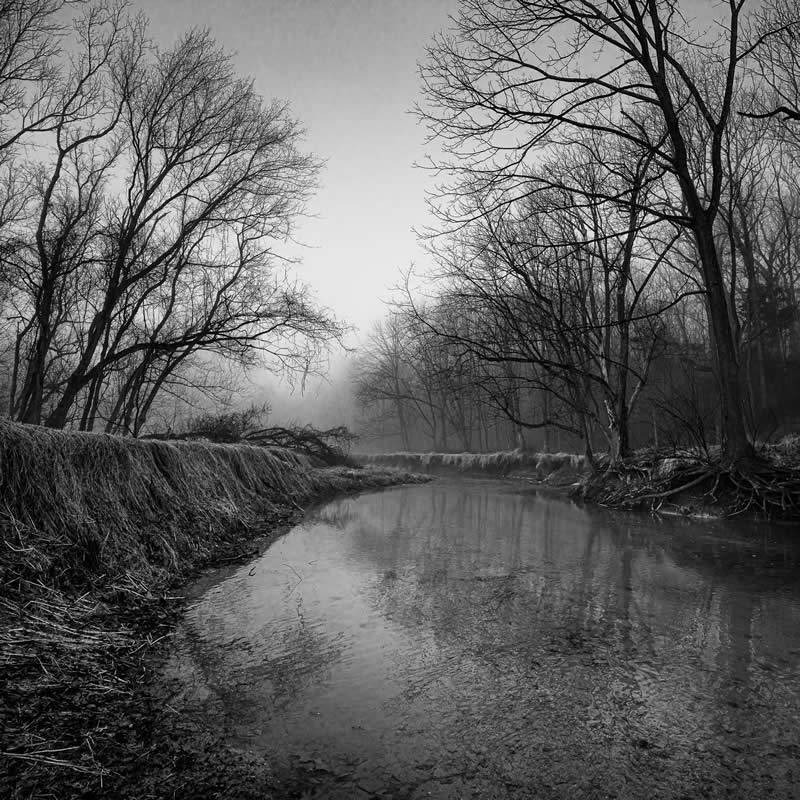 Goshen Branch by Graham Bush, United States (US) - Academy Photo Awards 2026 Black and White Winners