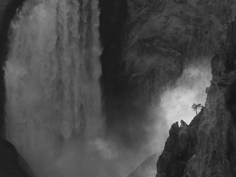 Hanging in There by Kyle Moon, United States (US) - Academy Photo Awards 2026 Black and White Winners