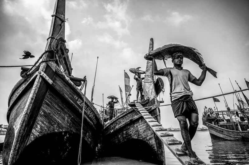 Harvest of the Tide by Rayhan Ahmed, Bangladesh - Academy Photo Awards 2026 Black and White Winners