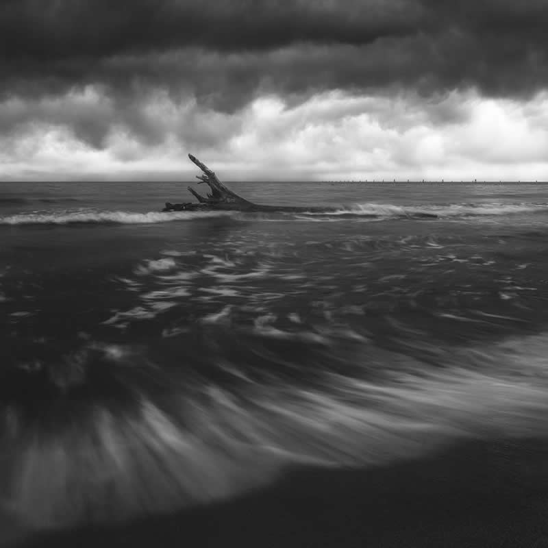 The Last Defiance by Thomas de Franzoni, Italy - Academy Photo Awards 2026 Black and White Winners