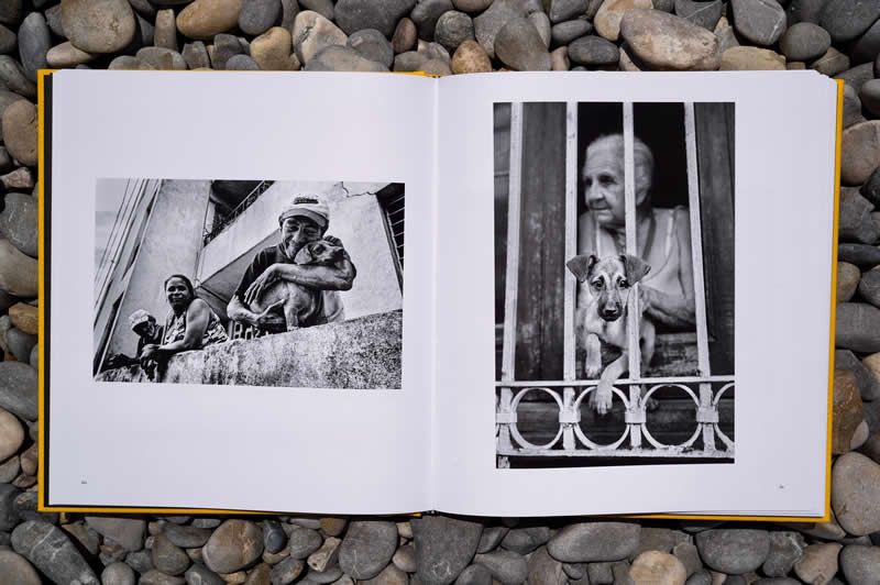 Street Safari Alan Schaller Street Photography Book