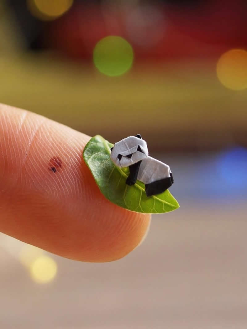 The Magic of Miniatures: 32 Outstanding Artworks by Ana Sofia Casaverde 47 Miniature Artworks by Ana Sofia Casaverde