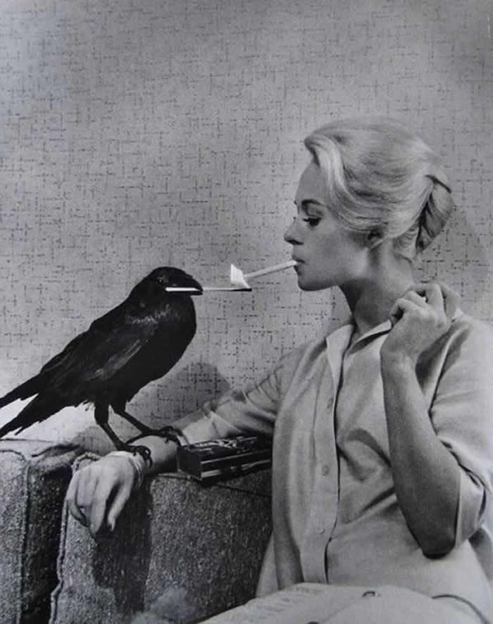 The Past Unfiltered: 34 Rare Historical Photos That Reveal the Human Side of History 54 Tippi Hedren having her cigarette lit by a crow on the set of The Birds, 1963