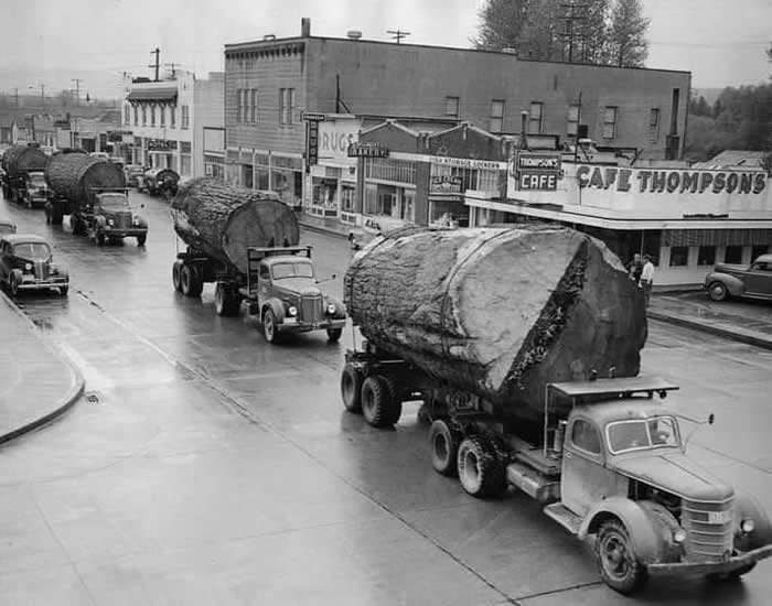 The Past Unfiltered: 34 Rare Historical Photos That Reveal the Human Side of History 61 Log Trucks in North Bend, Washington. 1943, US