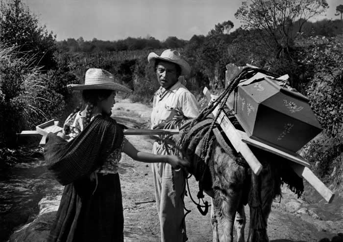 Werner Bischof: The Master Photographer of Beauty, Suffering, and Silence 55 Master Photographer Werner Bischof