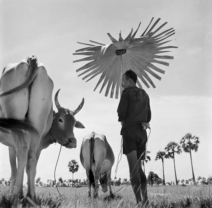 Werner Bischof: The Master Photographer of Beauty, Suffering, and Silence 62 Master Photographer Werner Bischof