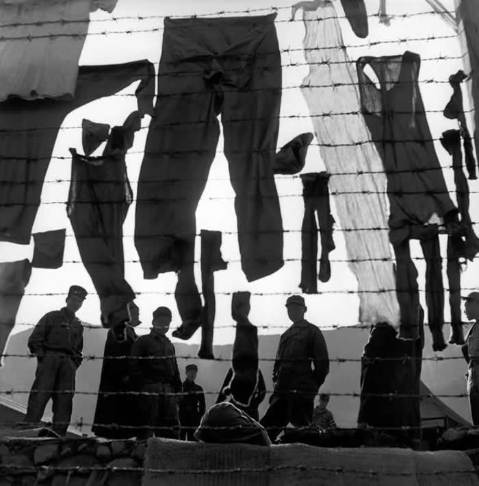 Werner Bischof: The Master Photographer of Beauty, Suffering, and Silence 47 Master Photographer Werner Bischof