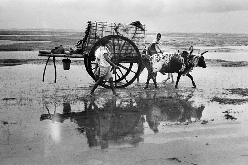 Black and White Photos by Master Photographers