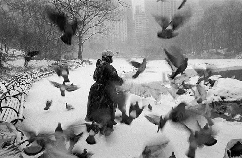 Black and White Photos by Master Photographers