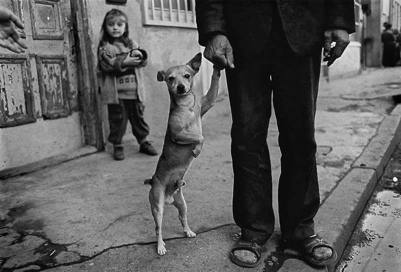 Black and White Photos by Master Photographers