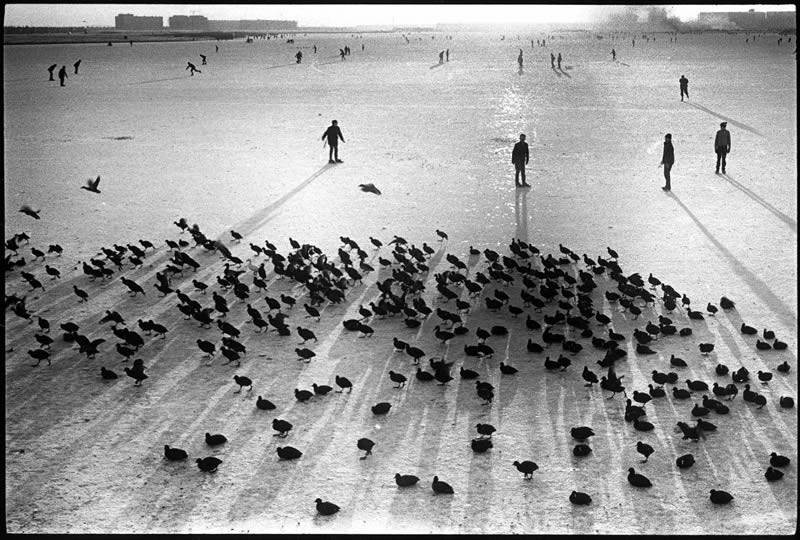 Black and White Photos by Master Photographers
